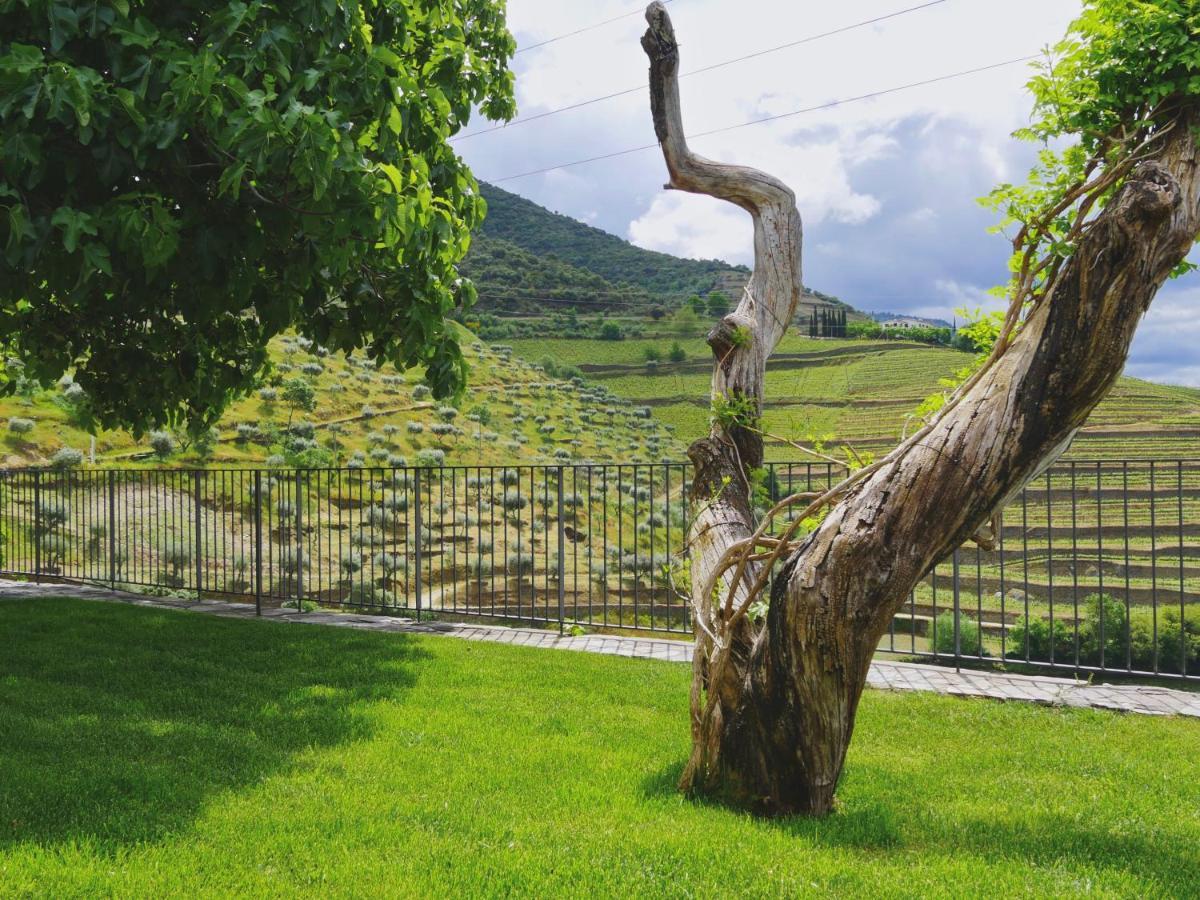 Quinta Do Tedo Bed & Breakfast Folgosa (Armamar)