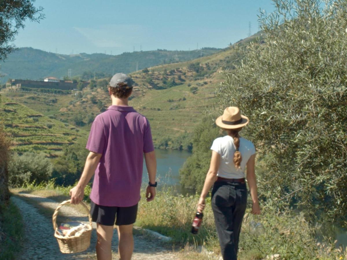 Quinta Do Tedo Alojamento de Acomodação e Pequeno-almoço