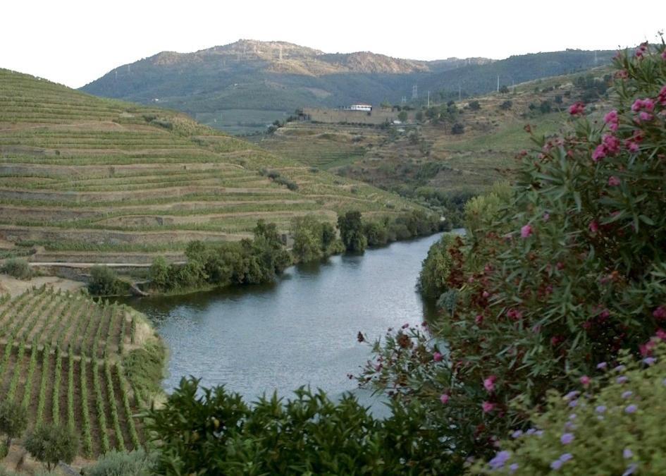 Alojamento de Acomodação e Pequeno-almoço Quinta Do Tedo